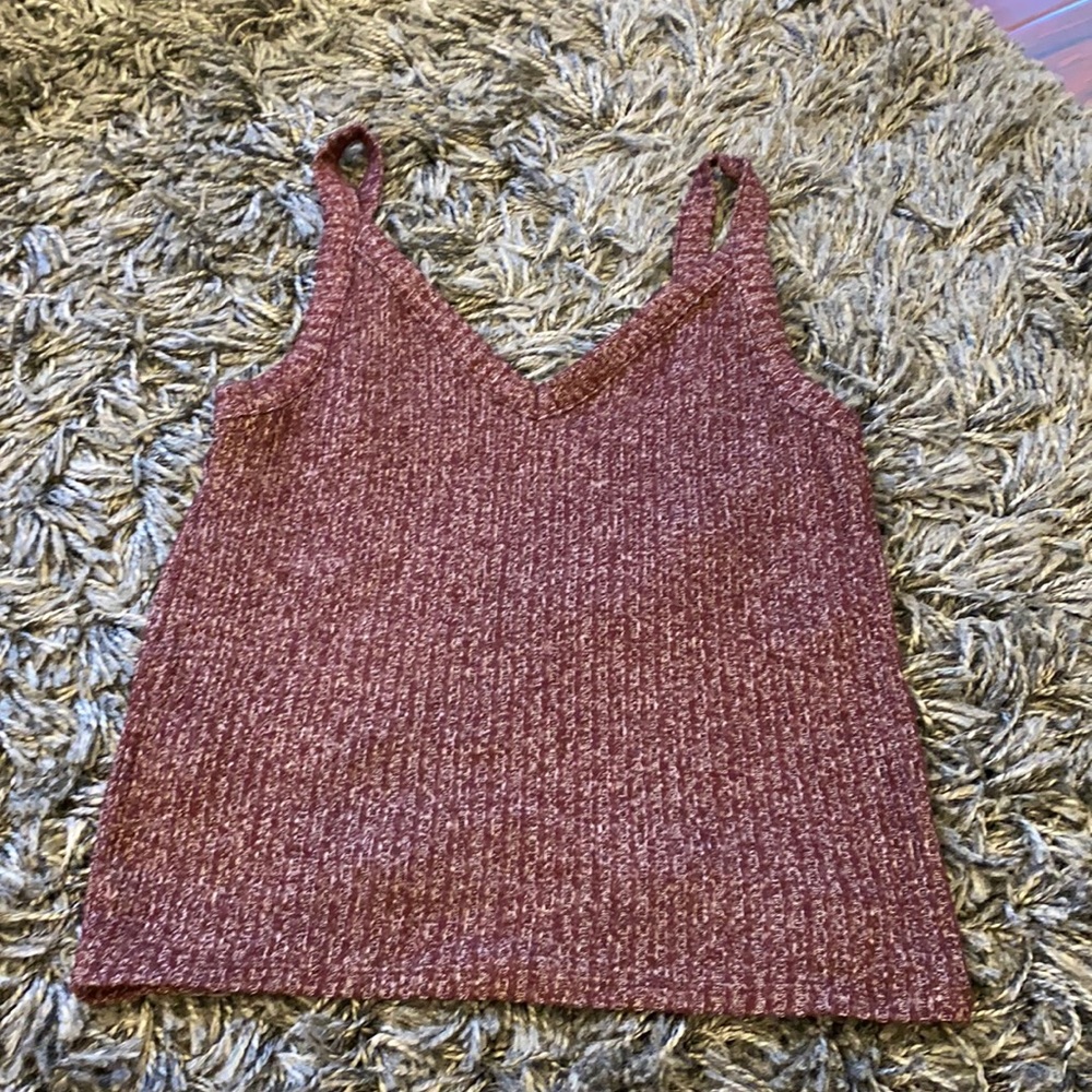 American Eagle Maroon Crop Top
